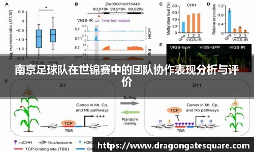星空·综合体育官方网站